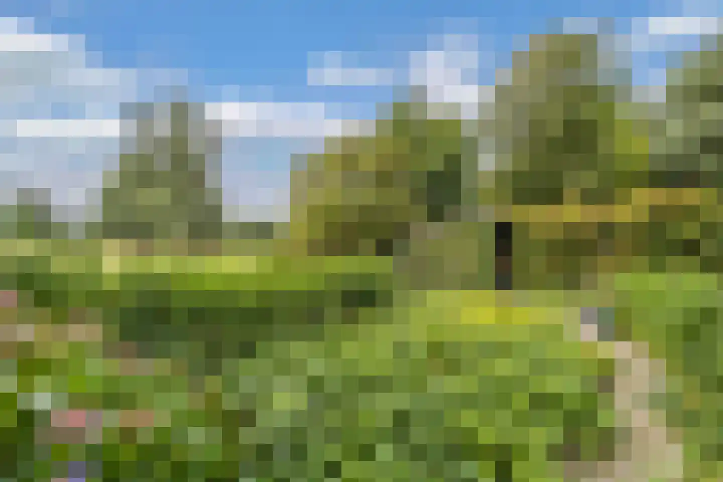 Slachte 12 Wommels thumbnail 47
