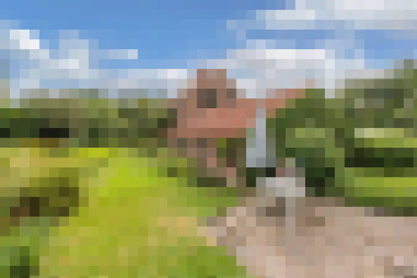 Slachte 12 Wommels thumbnail 49