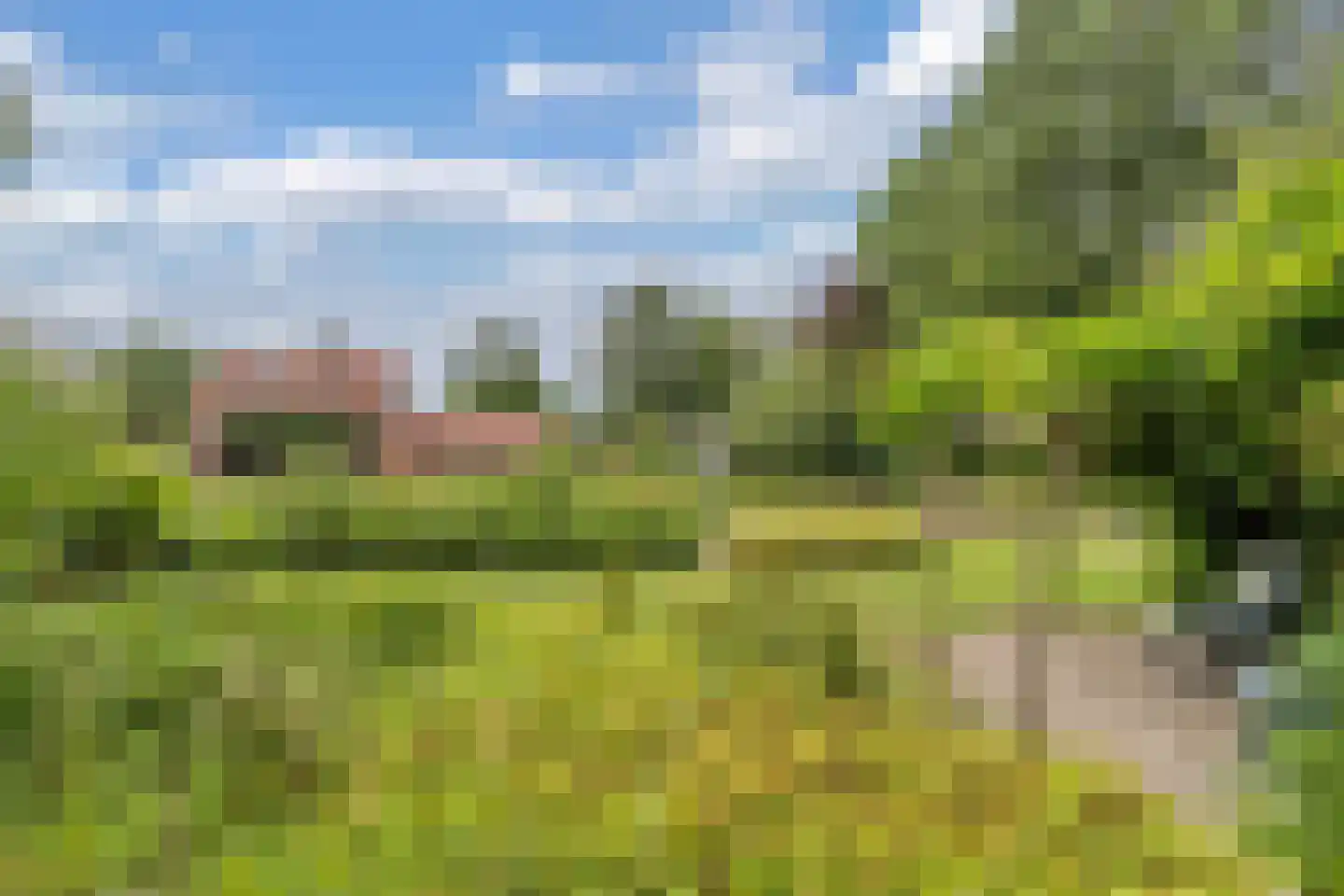 Slachte 12 Wommels thumbnail 5