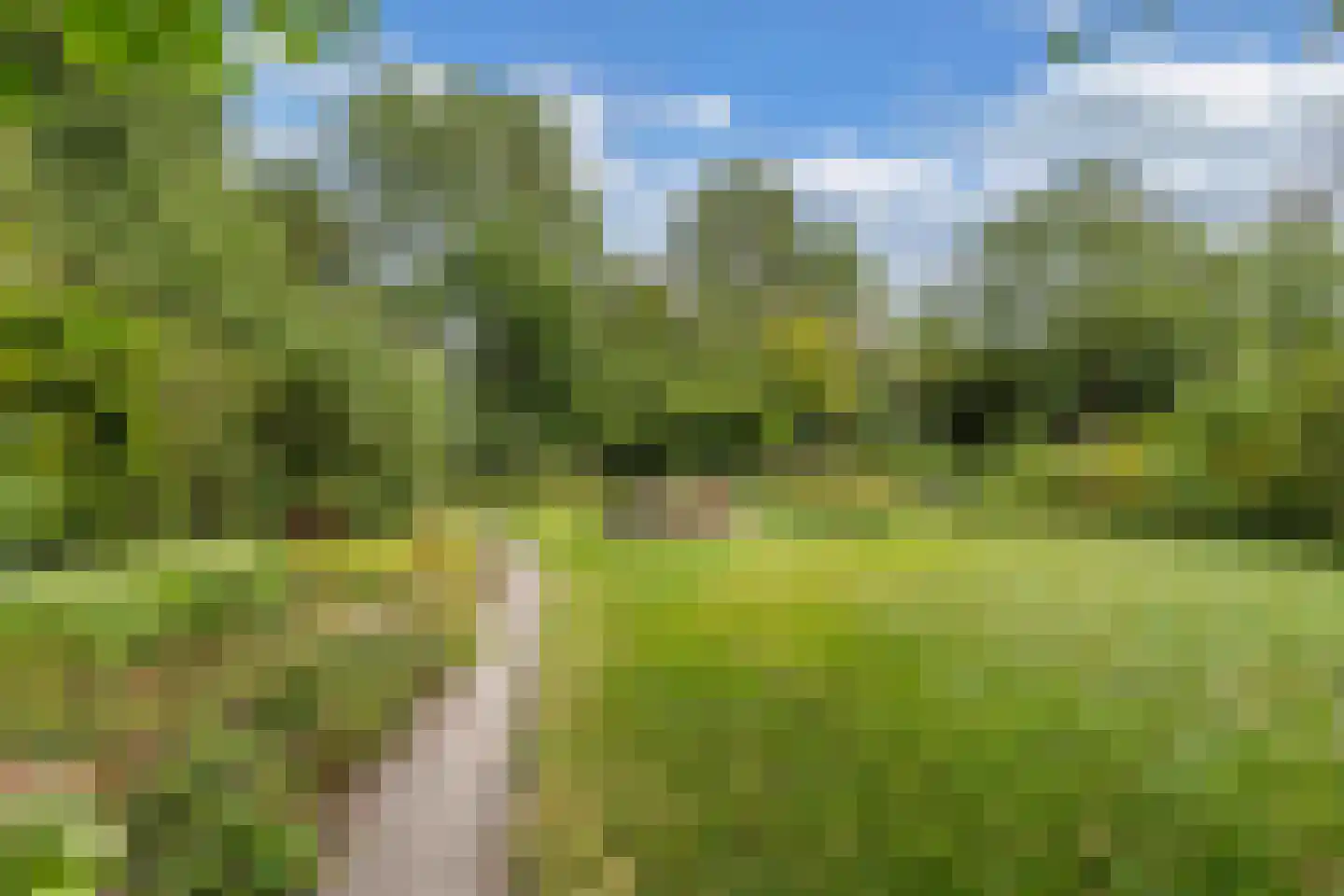 Slachte 12 Wommels thumbnail 50
