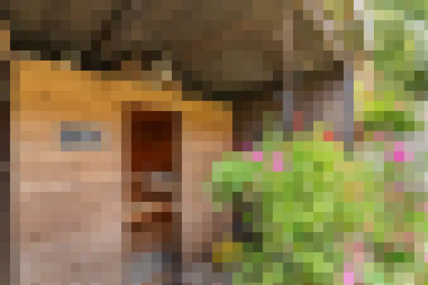Slachte 12 Wommels thumbnail 54