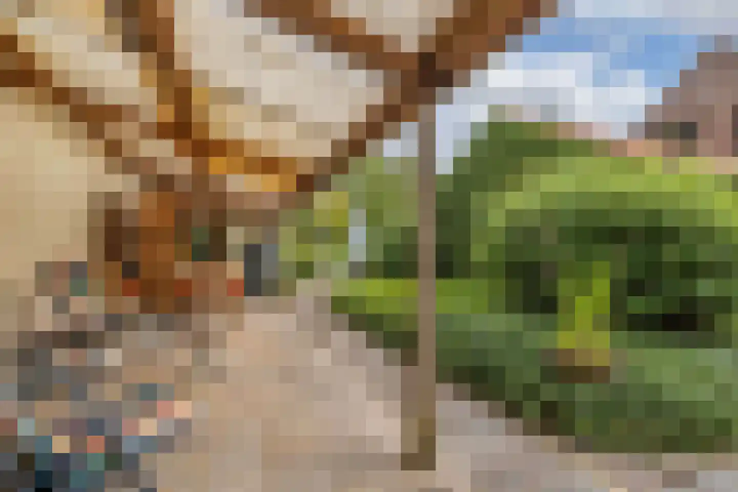 Slachte 12 Wommels thumbnail 58