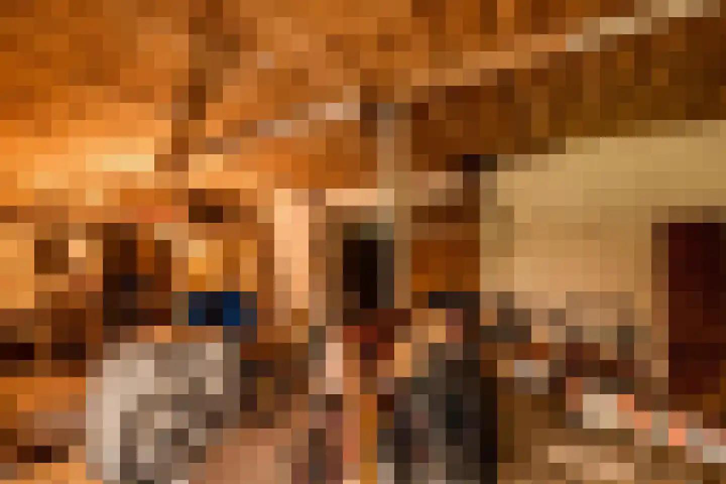 Slachte 12 Wommels thumbnail 59