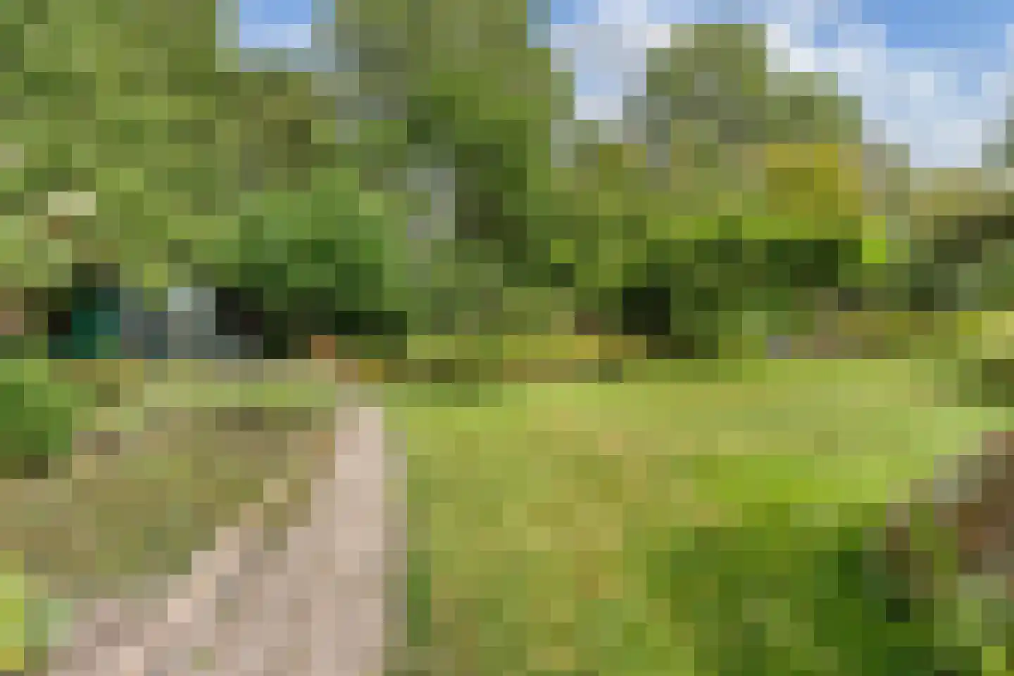 Slachte 12 Wommels thumbnail 62