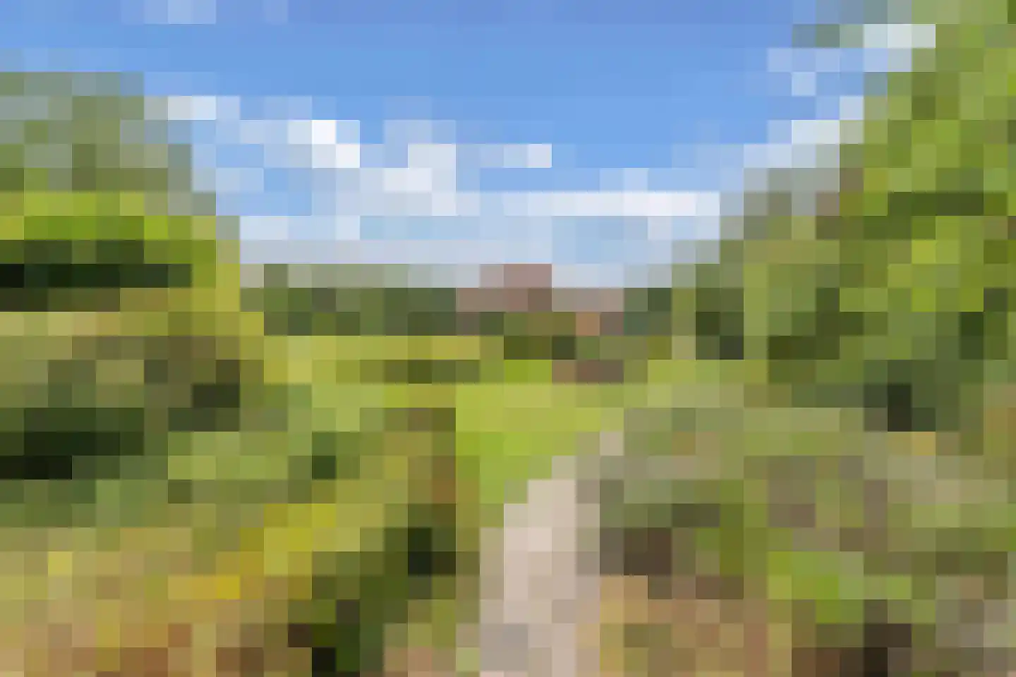Slachte 12 Wommels thumbnail 68