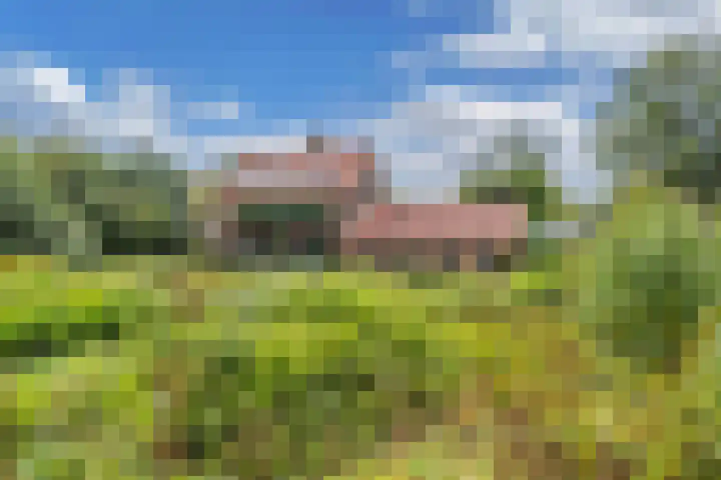 Slachte 12 Wommels thumbnail 69