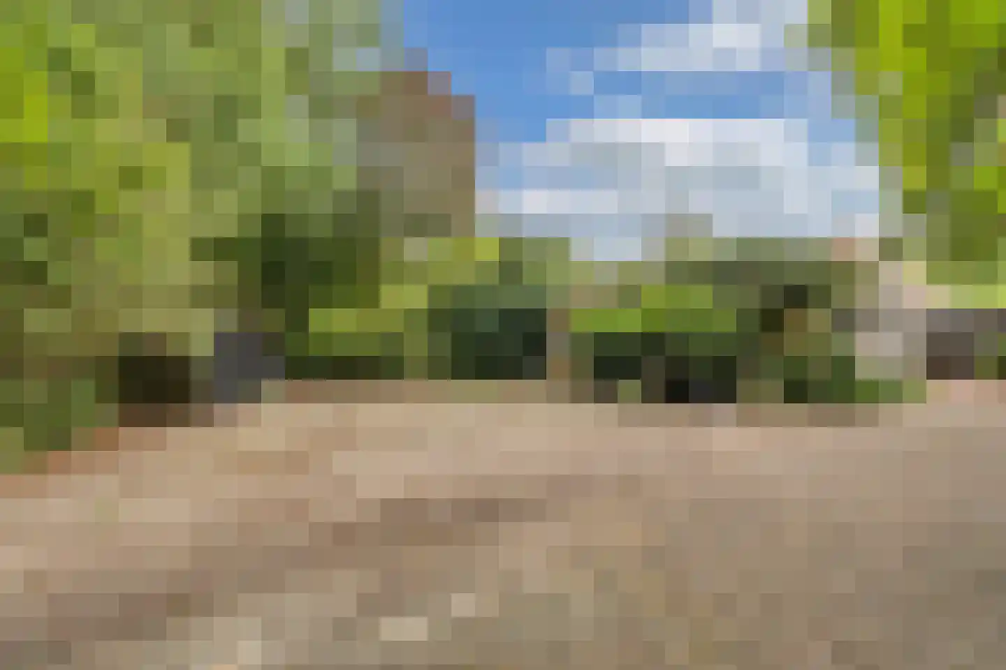 Slachte 12 Wommels thumbnail 7