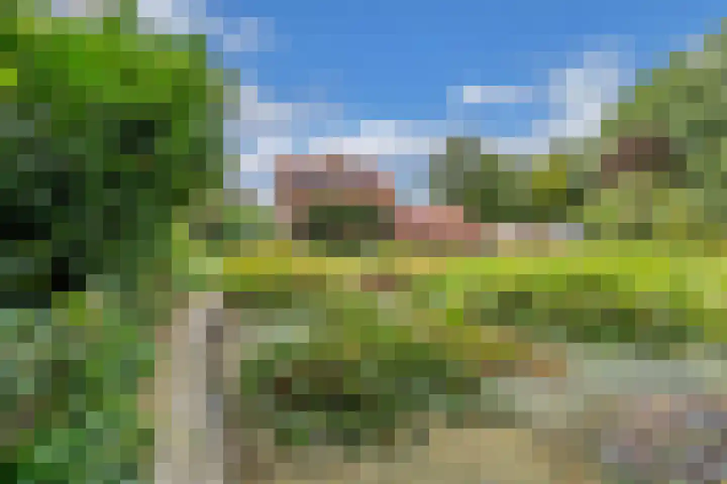 Slachte 12 Wommels thumbnail 70