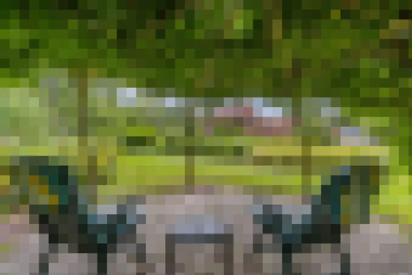 Slachte 12 Wommels thumbnail 72