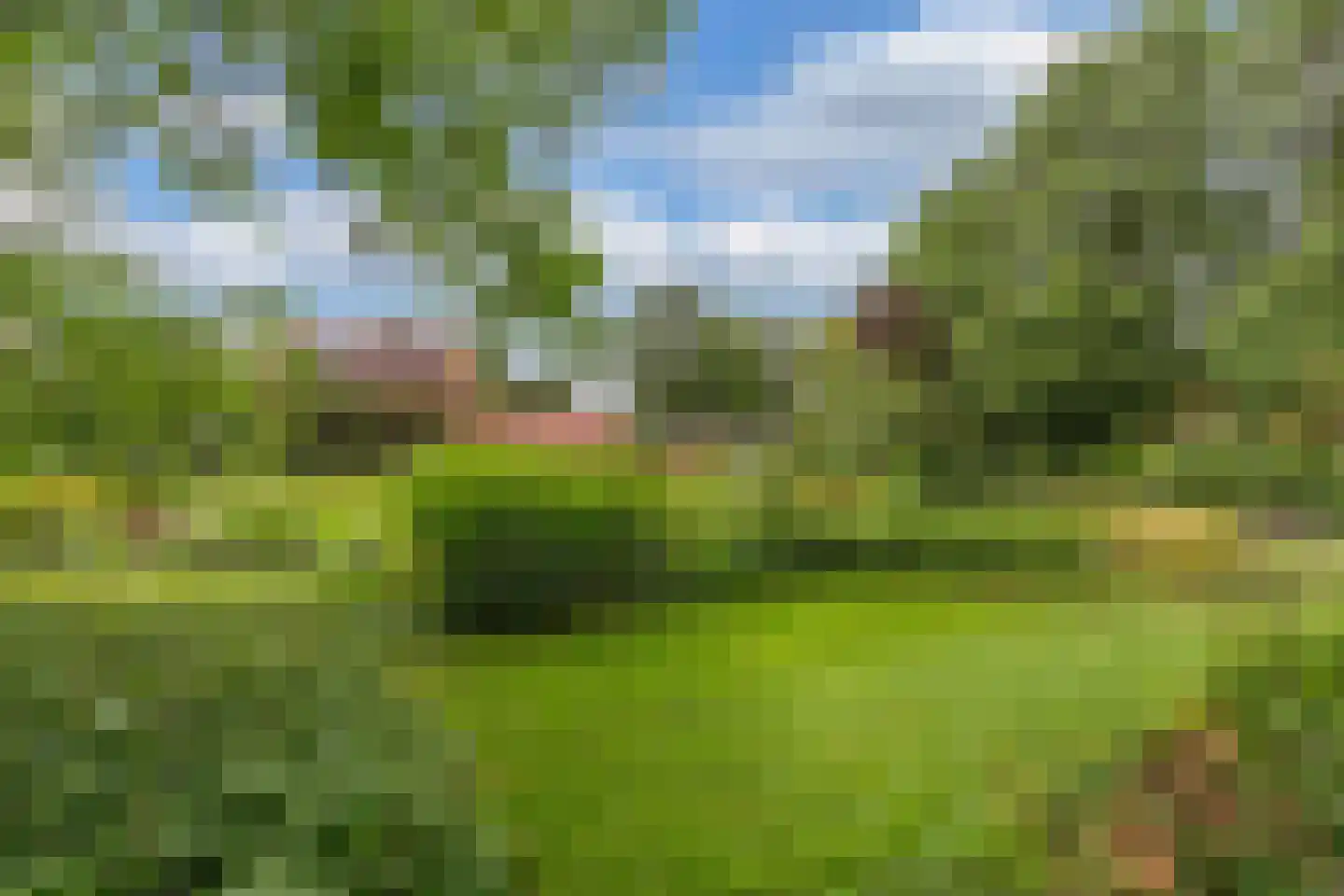 Slachte 12 Wommels thumbnail 73