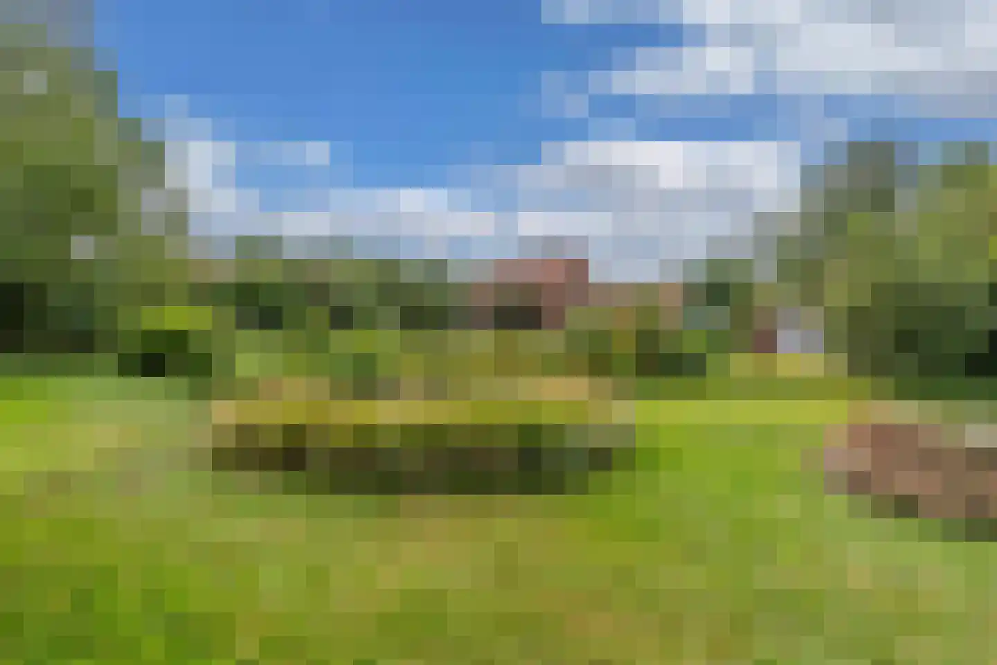 Slachte 12 Wommels thumbnail 74
