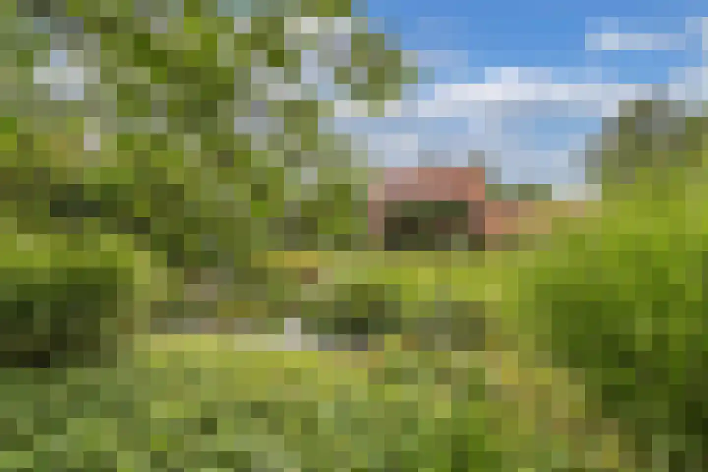 Slachte 12 Wommels thumbnail 76