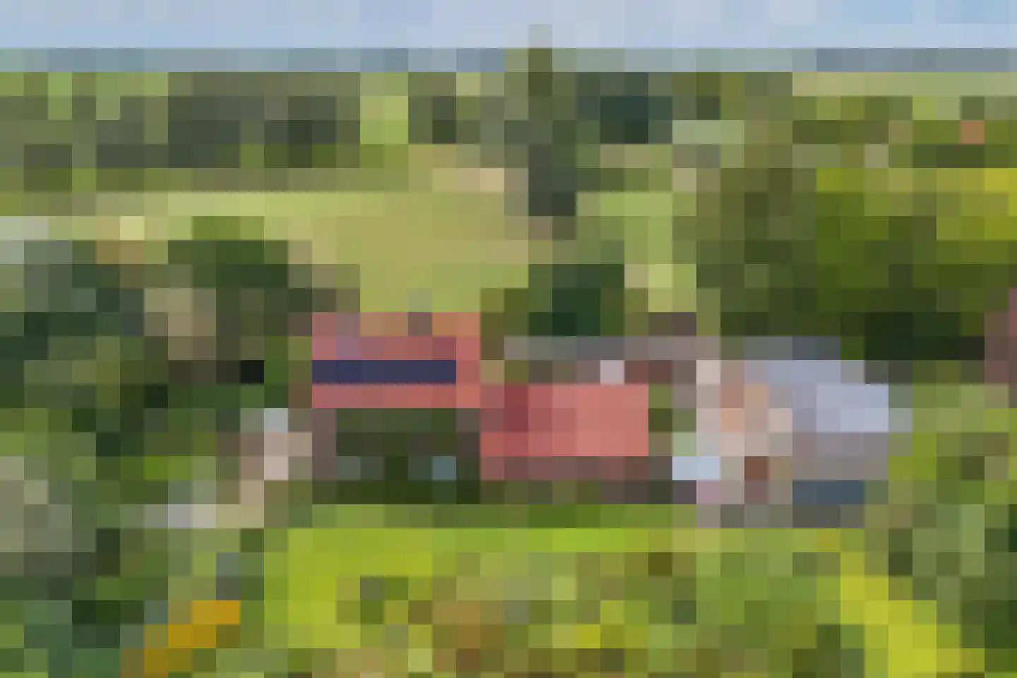 Slachte 12 Wommels thumbnail 78