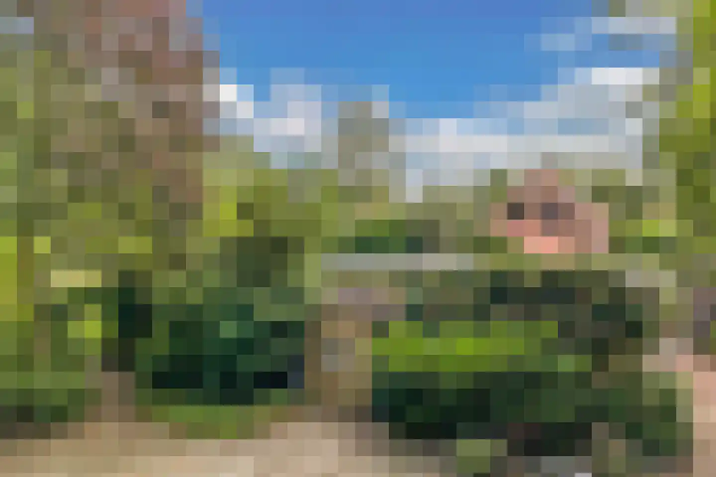 Slachte 12 Wommels thumbnail 8