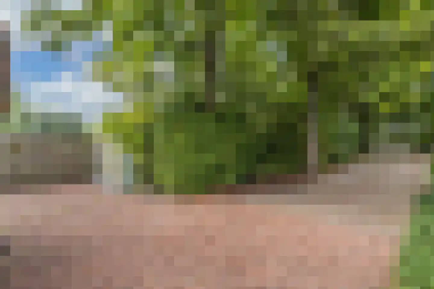 Slachte 12 Wommels thumbnail 81