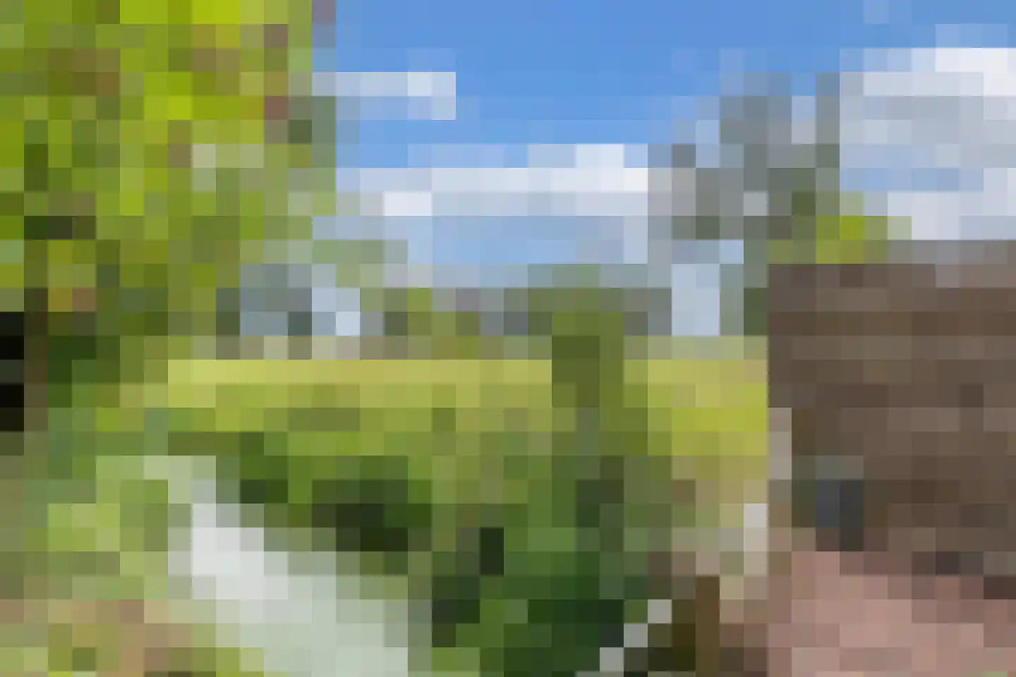 Slachte 12 Wommels thumbnail 83