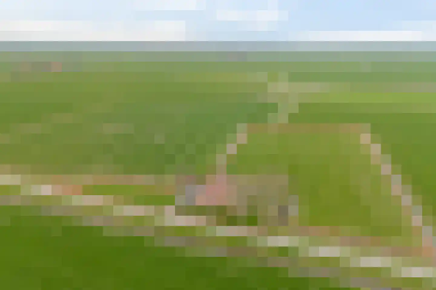 Slachte 7 in Wommels