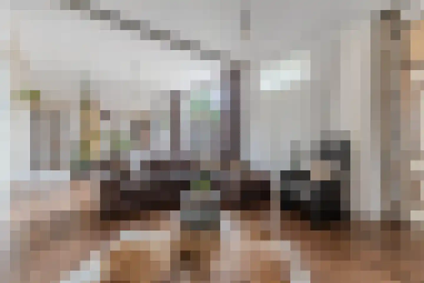 Slachtedyk 2 Joure thumbnail 10