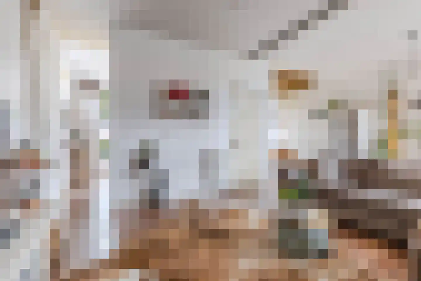 Slachtedyk 2 Joure thumbnail 12