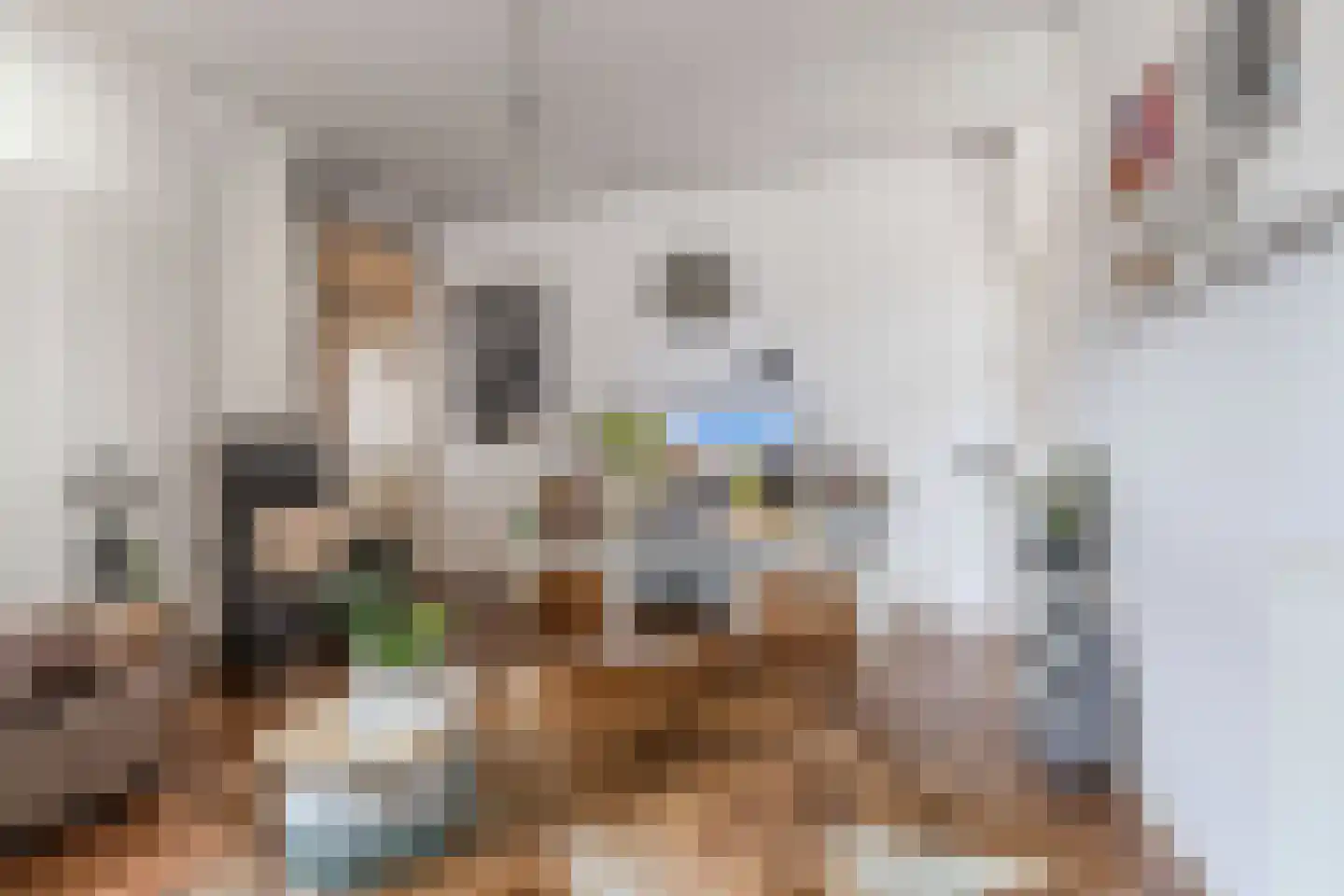 Slachtedyk 2 Joure thumbnail 13