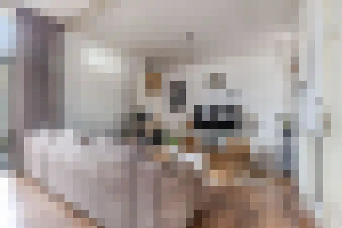 Slachtedyk 2 Joure thumbnail 14