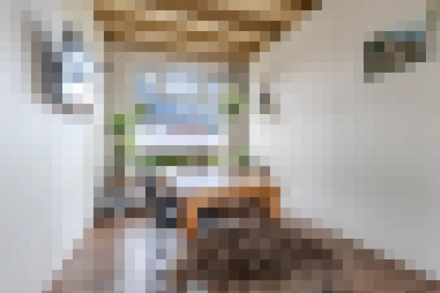 Slachtedyk 2 Joure thumbnail 17