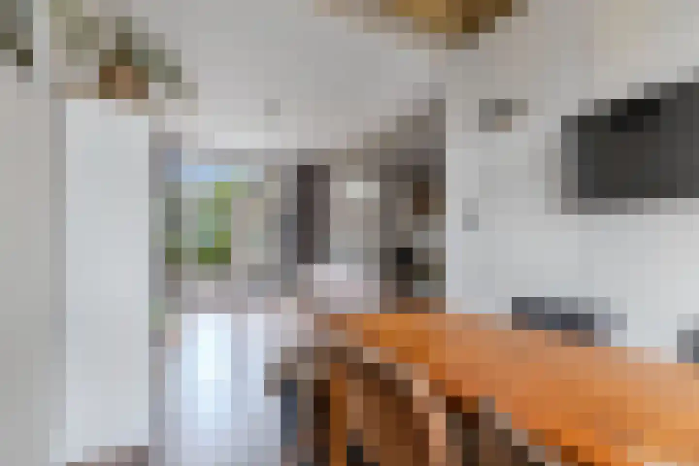 Slachtedyk 2 Joure thumbnail 19