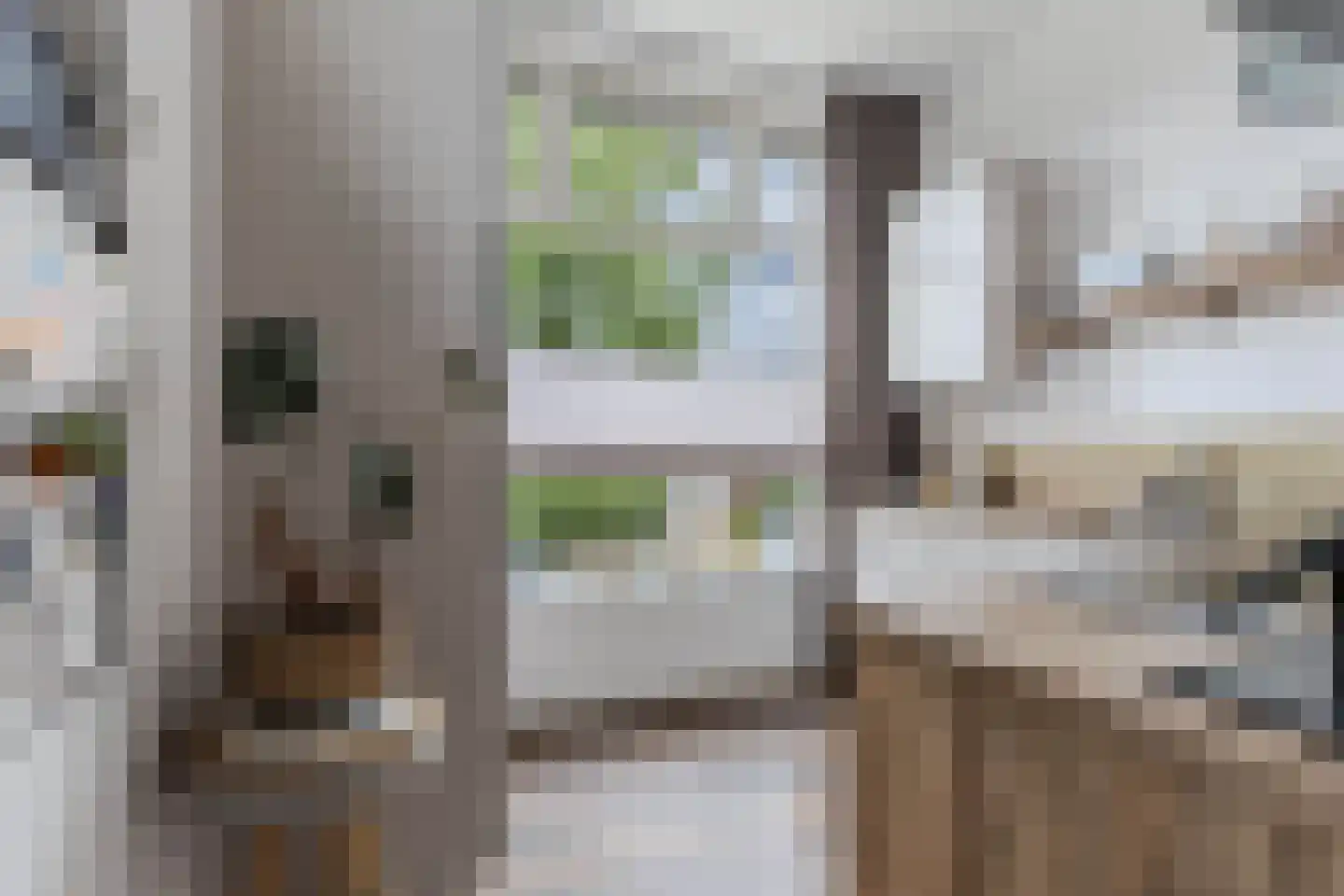 Slachtedyk 2 Joure thumbnail 20