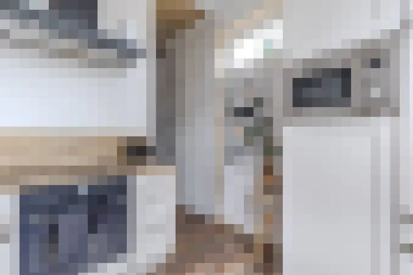 Slachtedyk 2 Joure thumbnail 23