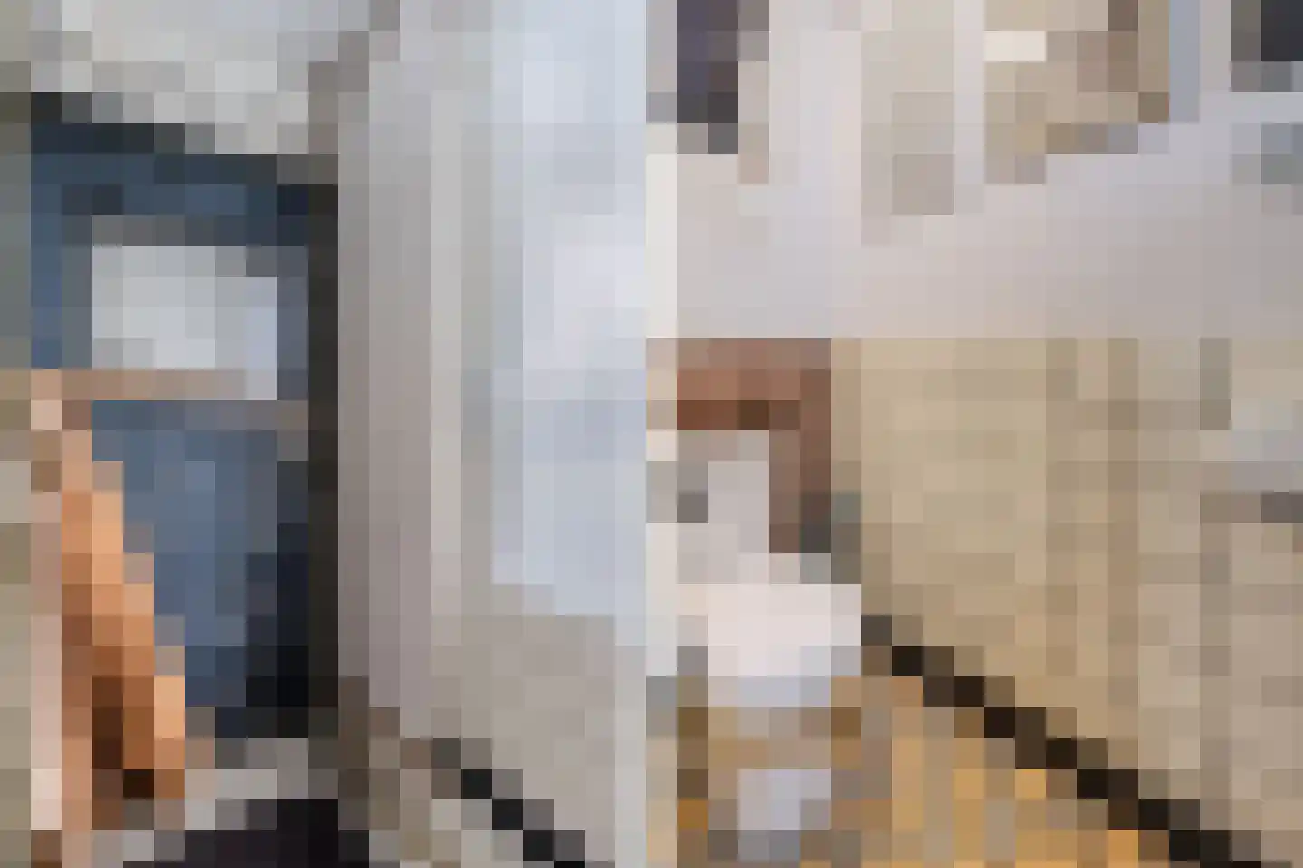 Slachtedyk 2 Joure thumbnail 25
