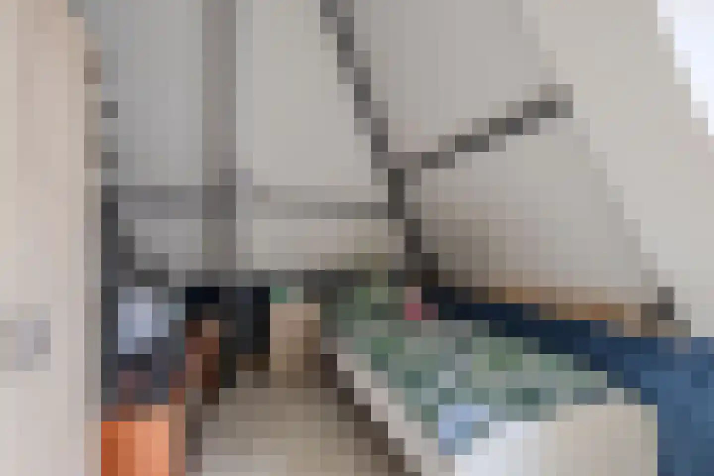 Slachtedyk 2 Joure thumbnail 28