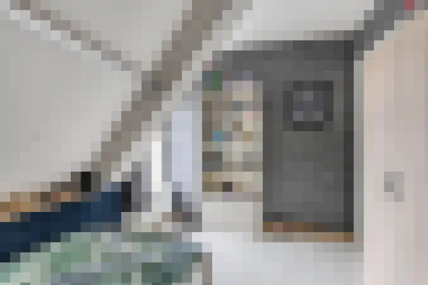 Slachtedyk 2 Joure thumbnail 29