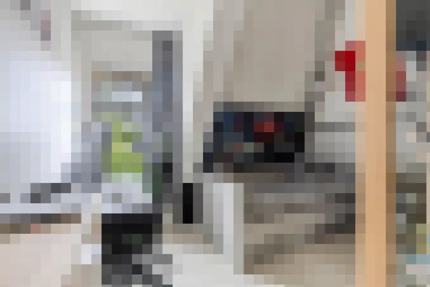 Slachtedyk 2 Joure thumbnail 30