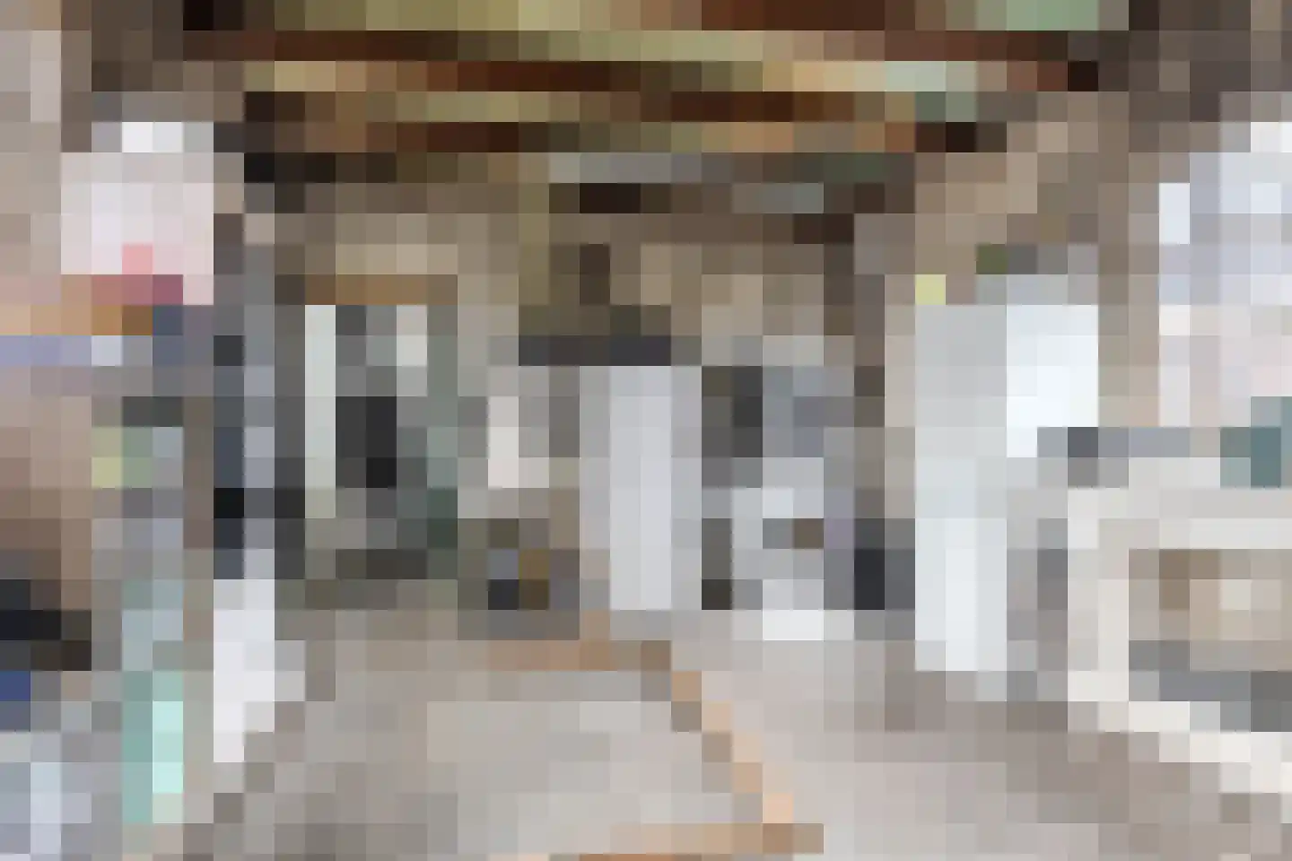 Slachtedyk 2 Joure thumbnail 37