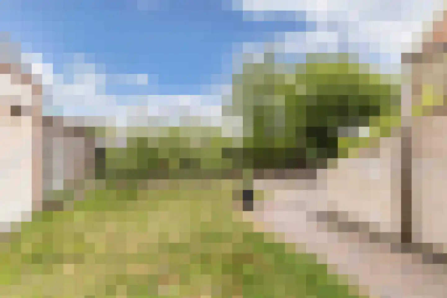 Slachtedyk 2 Joure thumbnail 38