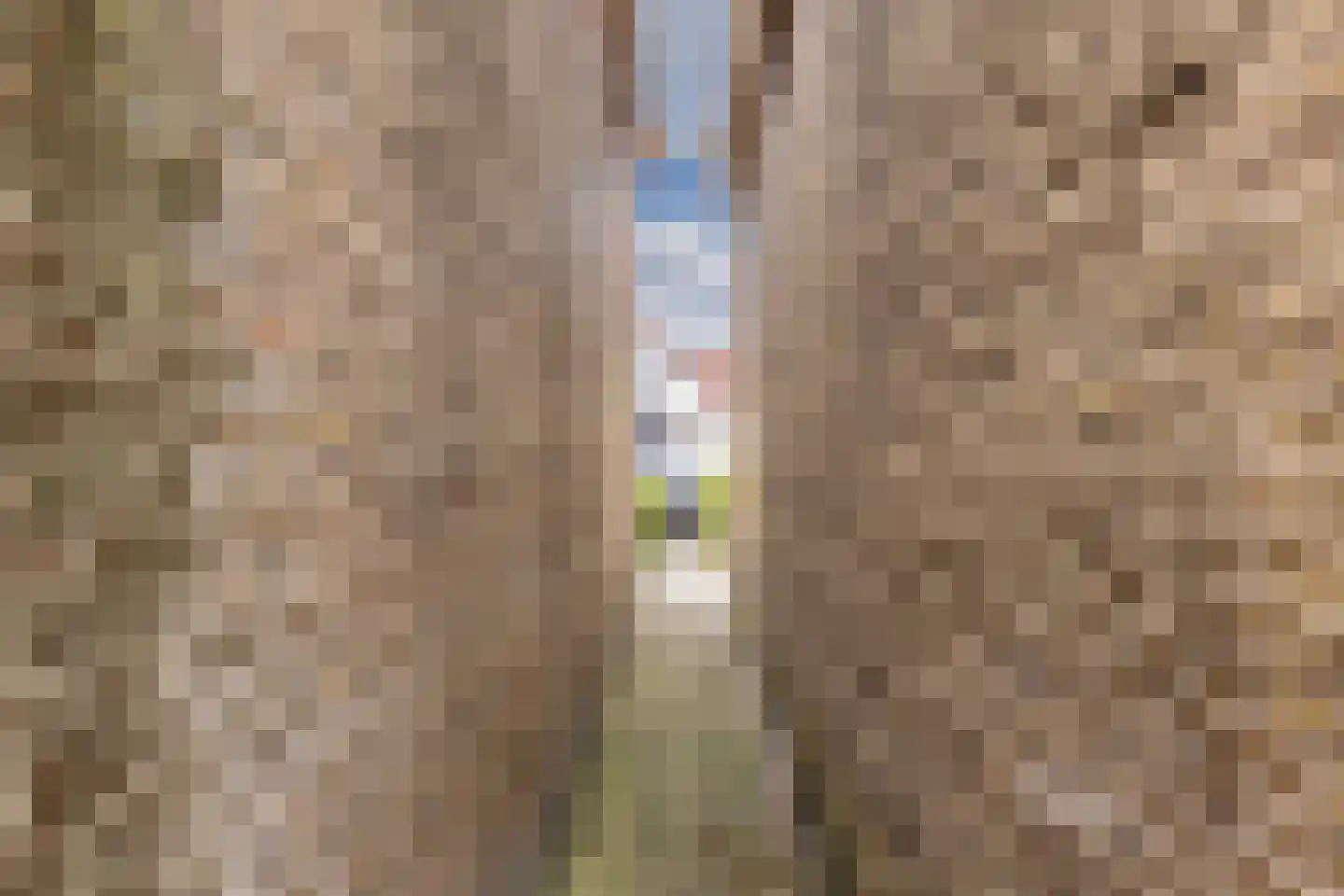Slachtedyk 2 Joure thumbnail 39