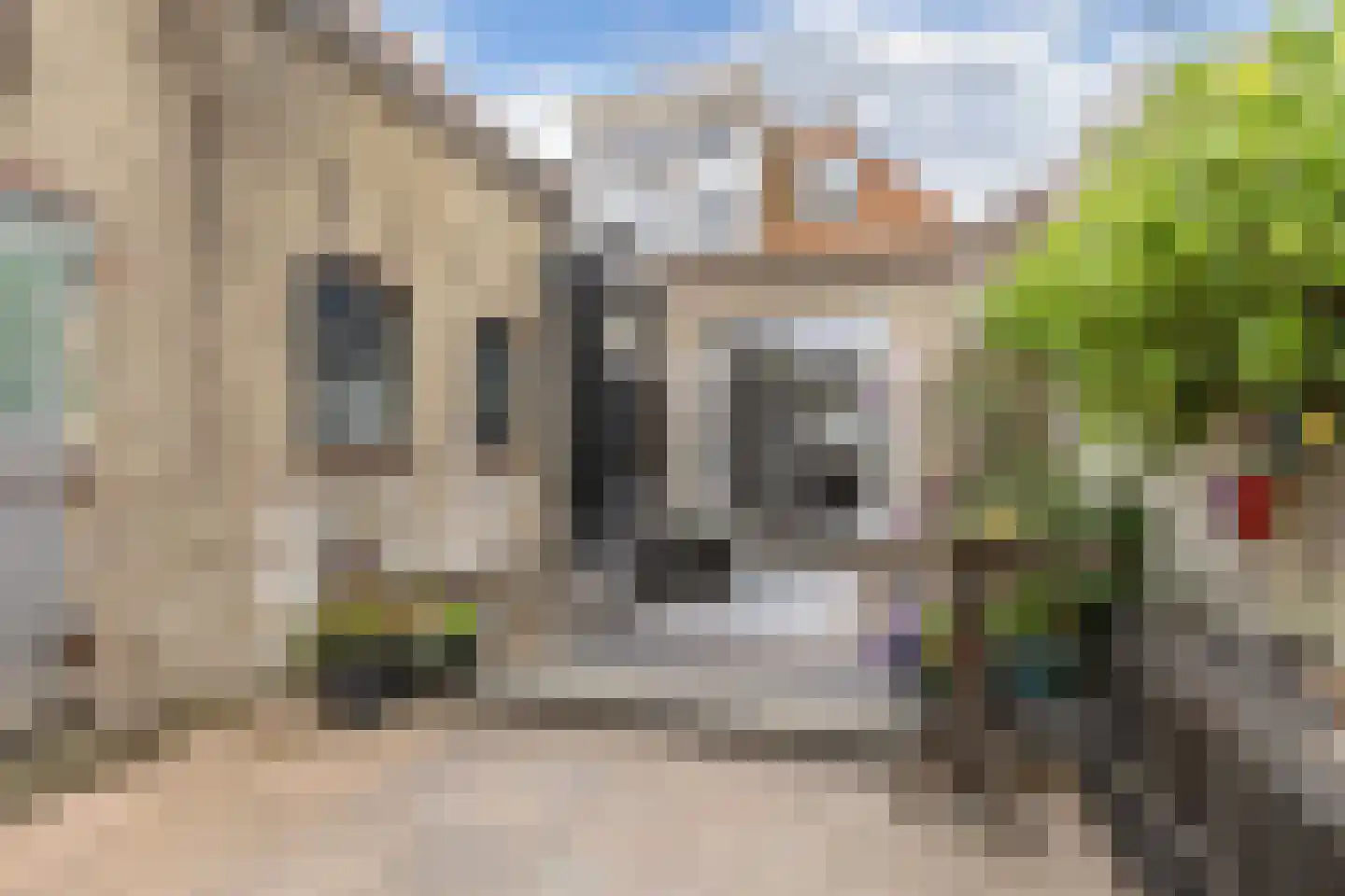 Slachtedyk 2 Joure thumbnail 41