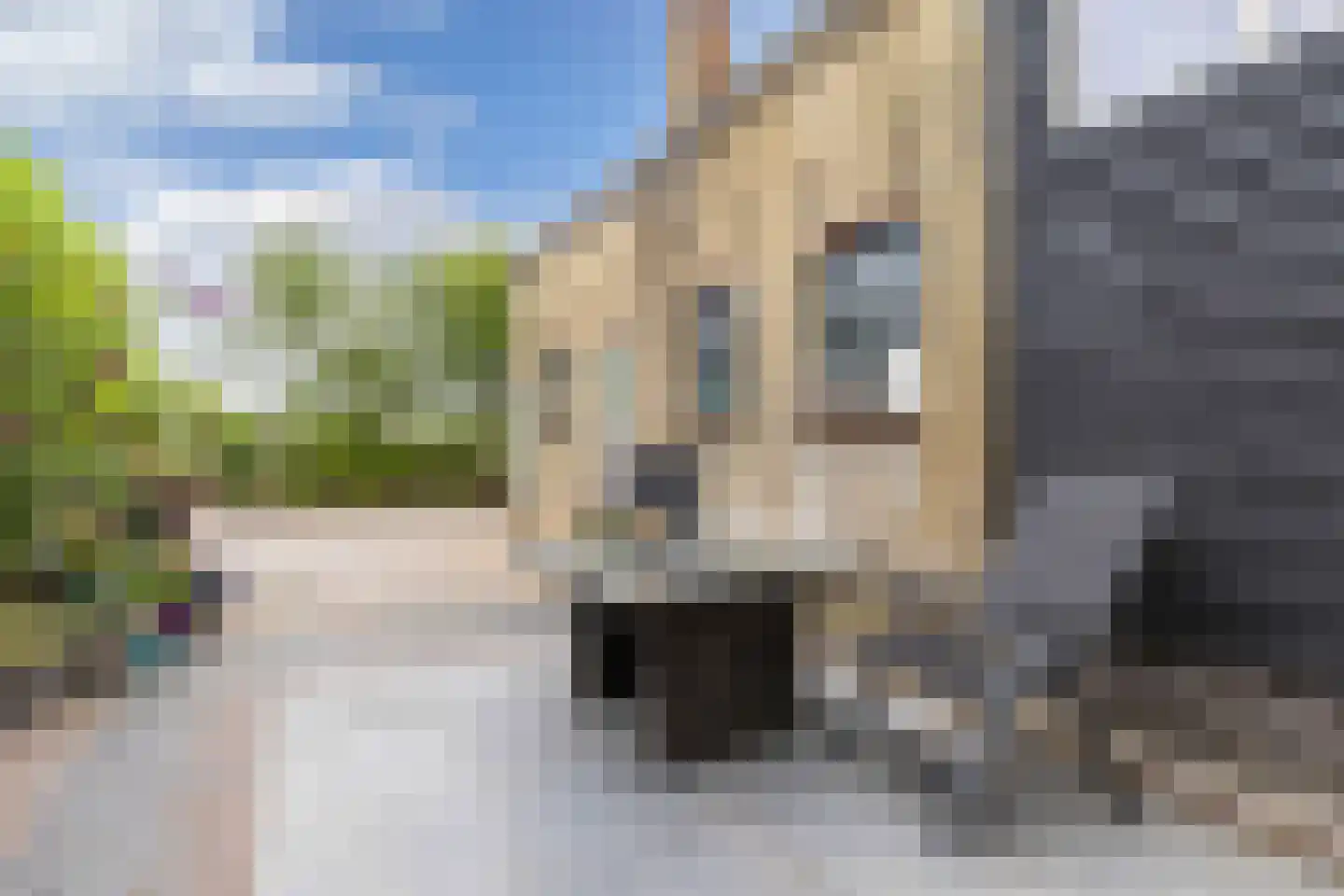 Slachtedyk 2 Joure thumbnail 42