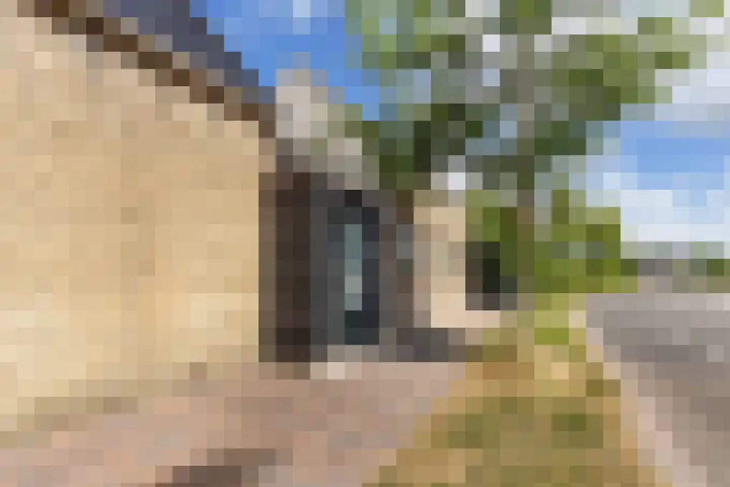 Slachtedyk 2 Joure thumbnail 43
