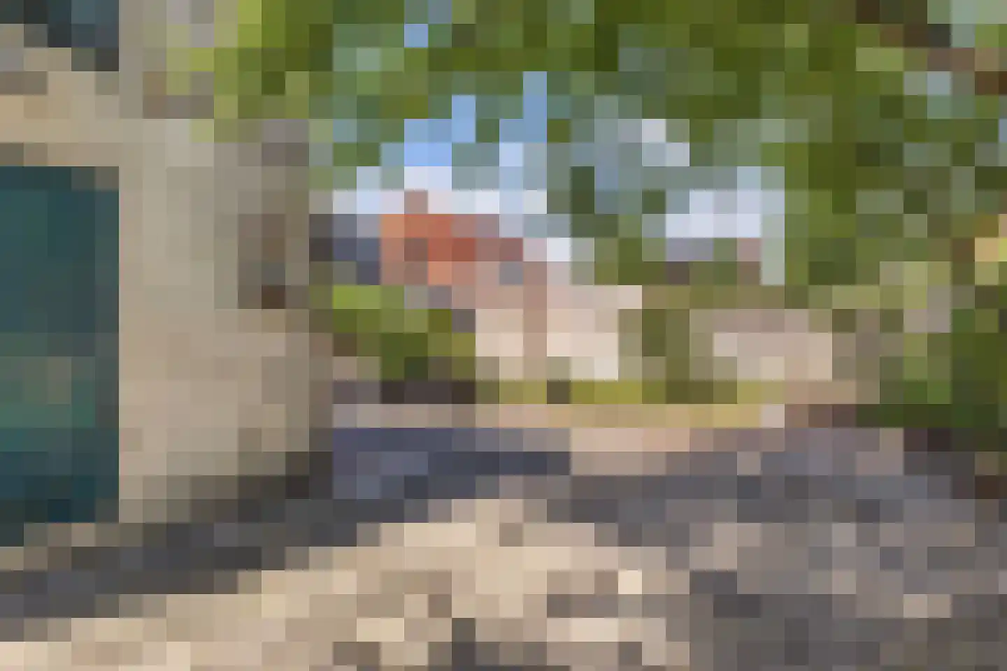 Slachtedyk 2 Joure thumbnail 45