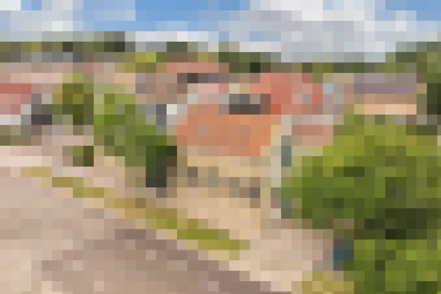 Slachtedyk 2 Joure thumbnail 47