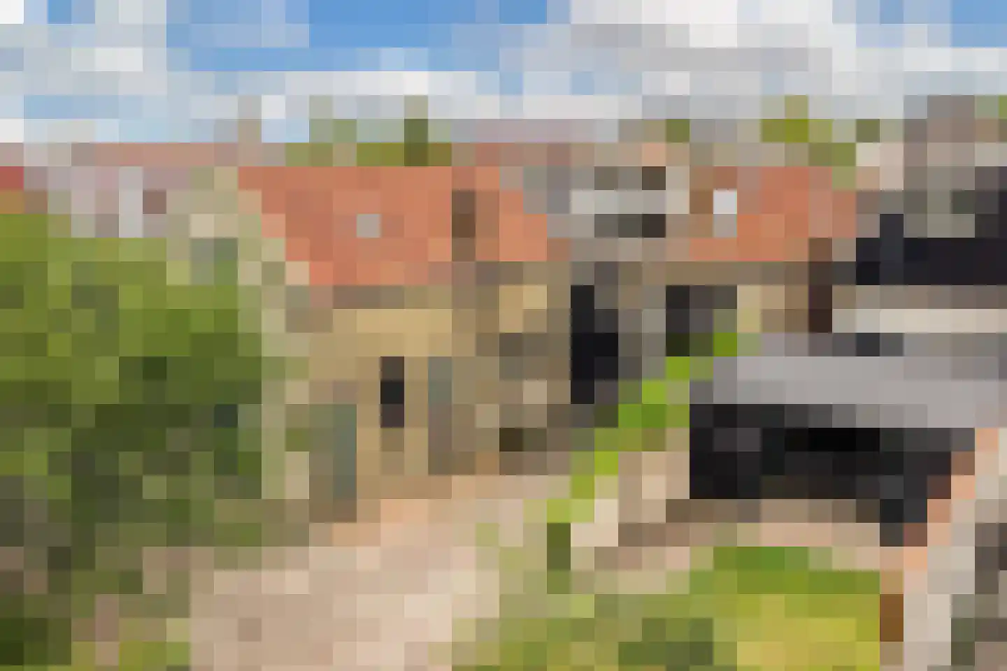 Slachtedyk 2 Joure thumbnail 48