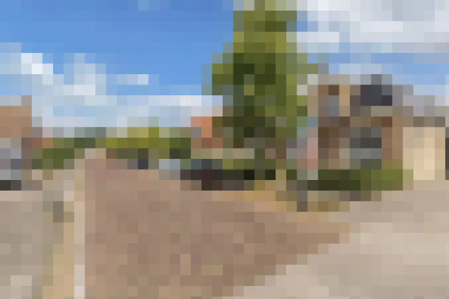 Slachtedyk 2 Joure thumbnail 49