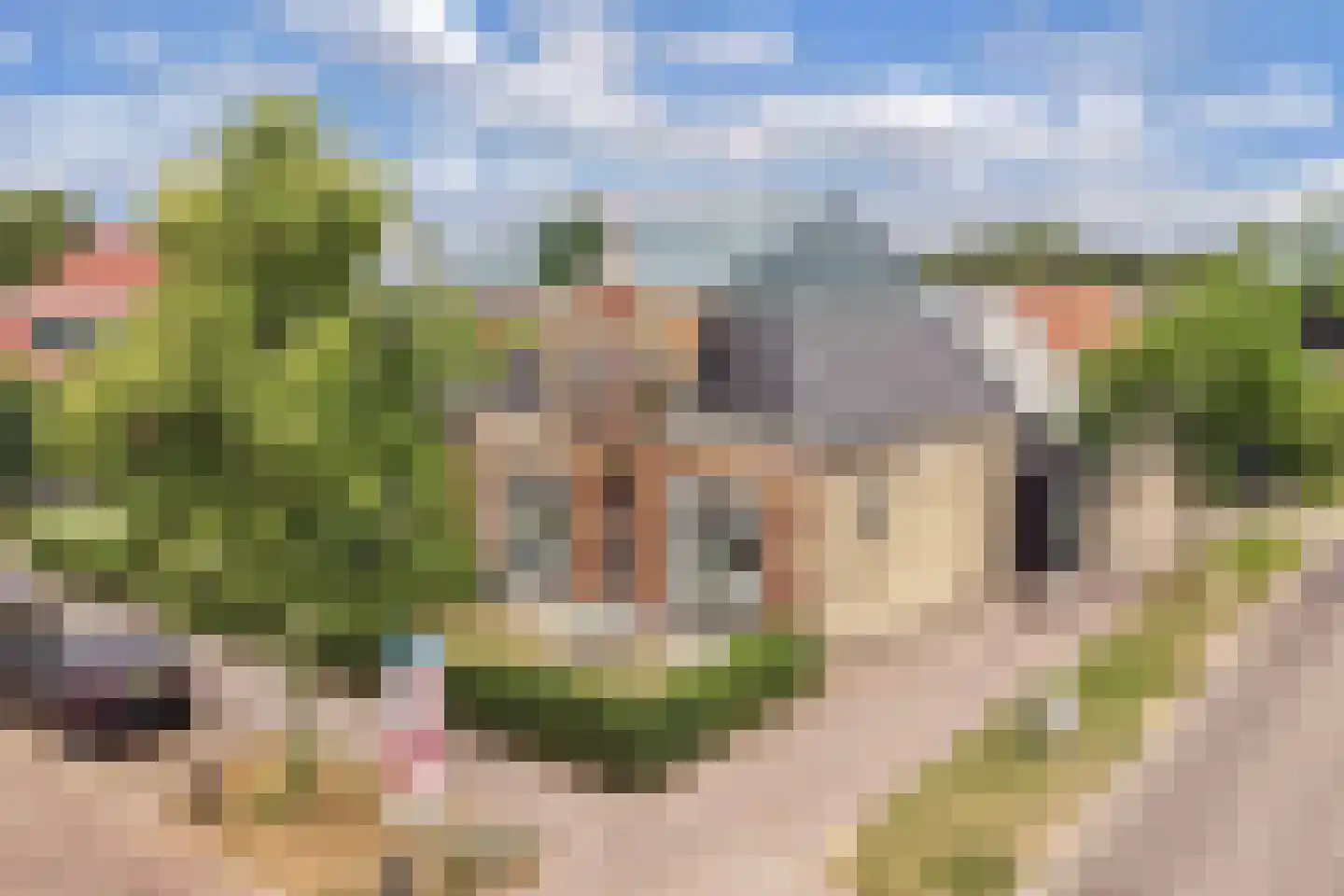 Slachtedyk 2 Joure thumbnail 51