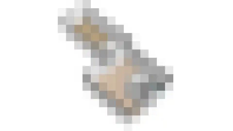 Slachtedyk 2 Joure thumbnail 57