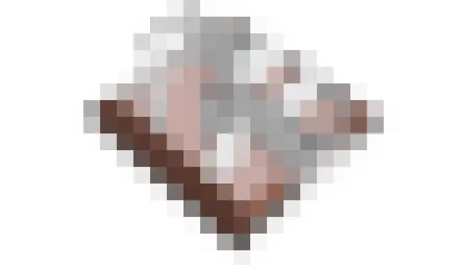 Slachtedyk 2 Joure thumbnail 58
