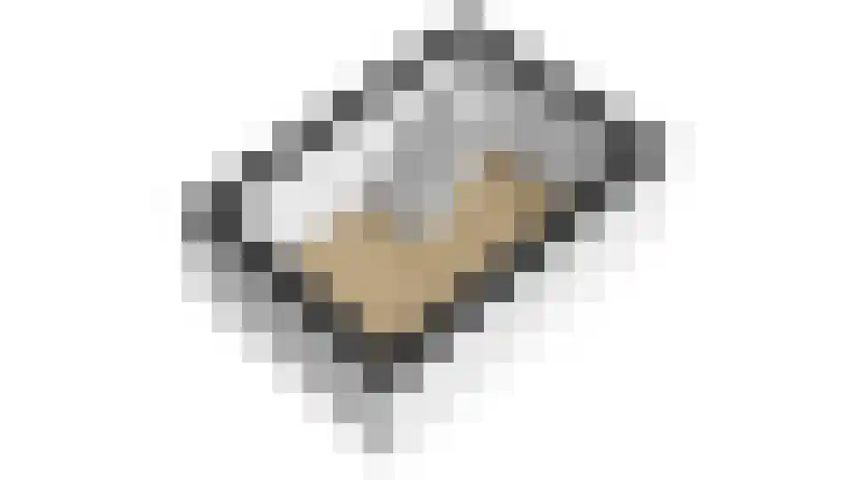Slachtedyk 2 Joure thumbnail 60