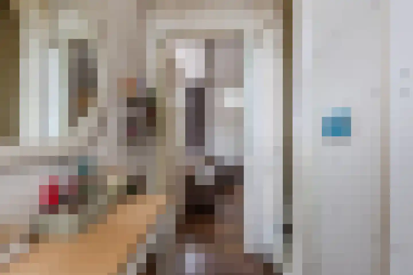 Slachtedyk 2 Joure thumbnail 8