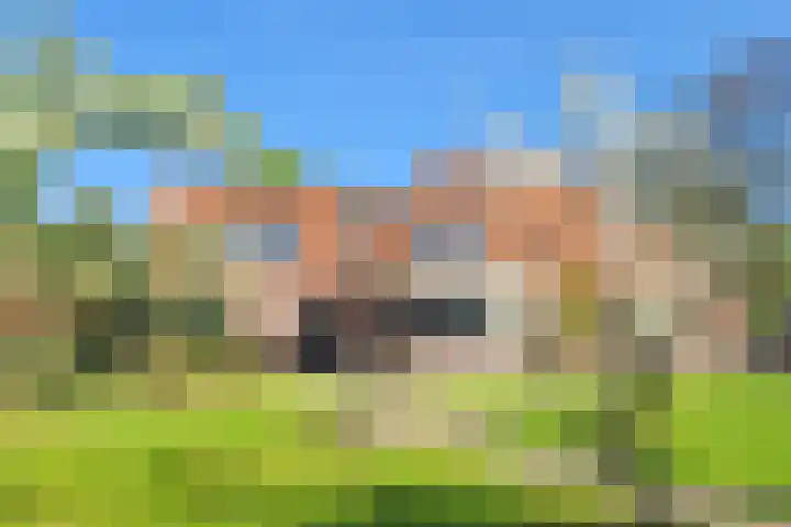 Slachtersrige 1 Bitgum