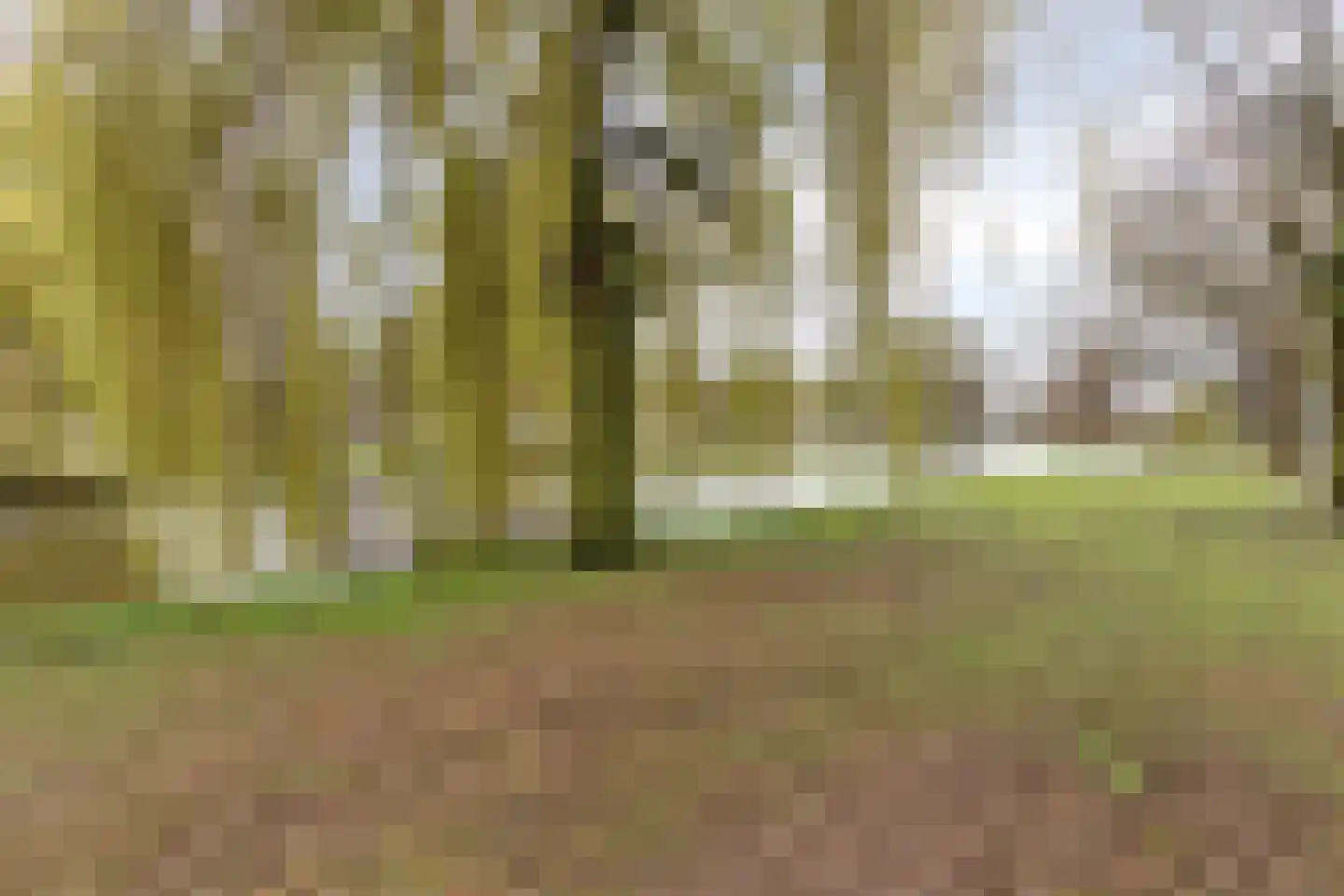 Slachthuiskade 22 Rotterdam thumbnail 20